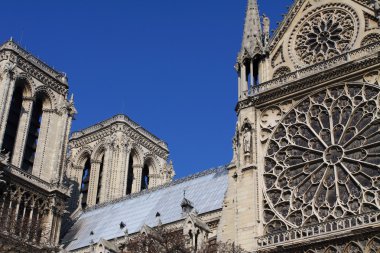 Notre dame Katedrali - paris