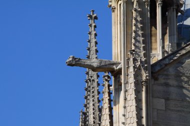 Notre dame Katedrali - paris