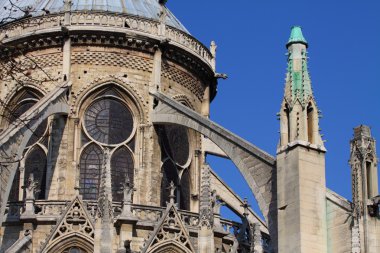 Notre dame Katedrali - paris