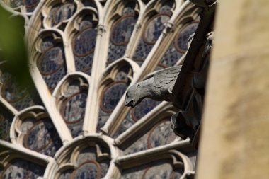 Notre dame Katedrali - paris