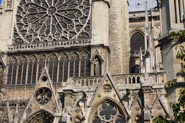 Notre dame-katedralen - paris — Stockfoto