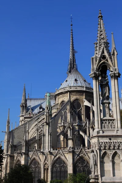 Katedra Notre dame - Paryż — Zdjęcie stockowe