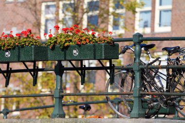 Amsterdam, kanal ve bisiklet. Hollanda.