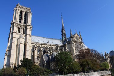Notre dame Katedrali - paris