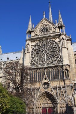 Notre dame Katedrali - paris