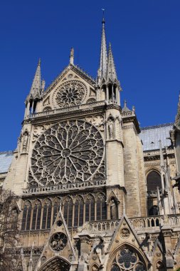 Notre dame Katedrali - paris