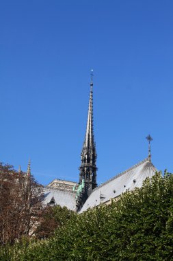 Notre dame Katedrali - paris