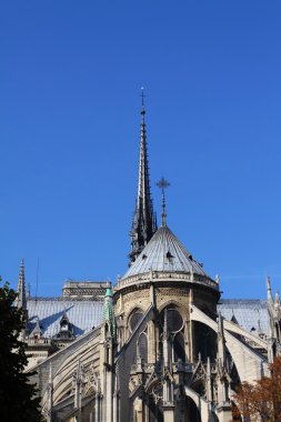 Notre dame Katedrali - paris