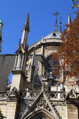 Notre dame Katedrali - paris