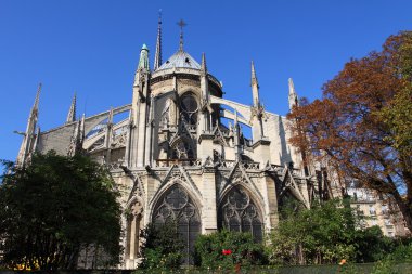 Notre dame Katedrali - paris