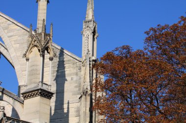 Notre dame Katedrali - paris