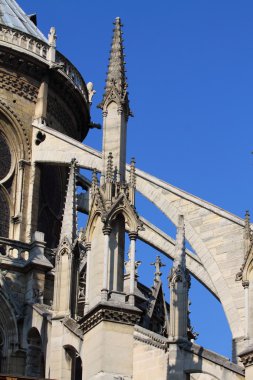 Notre dame Katedrali - paris