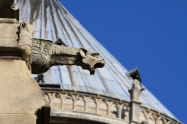 Notre dame Katedrali - paris