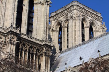 Notre dame Katedrali - paris