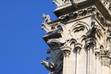 Notre dame Katedrali - paris