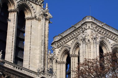 Notre dame Katedrali - paris