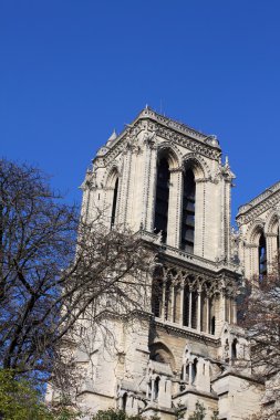 Notre dame Katedrali - paris