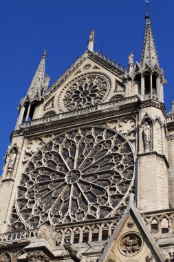 Notre dame Katedrali - paris