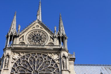 Notre dame Katedrali - paris