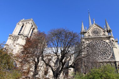 Notre dame Katedrali - paris