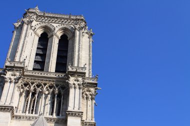 Notre dame Katedrali - paris