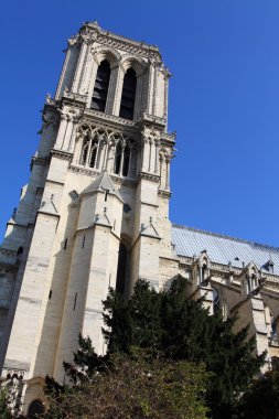 Notre dame Katedrali - paris