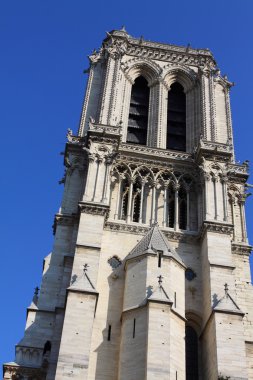 Notre dame Katedrali - paris