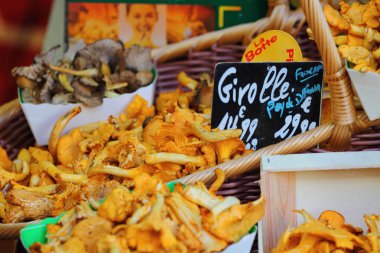 bir sürü chanterelles Market