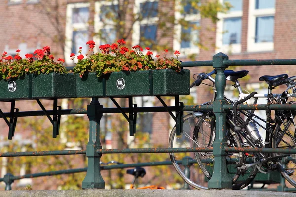 Amsterdam, Canal e bicicletta. Paesi Bassi . — Foto Stock