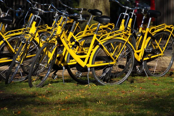 Bisiklet Amsterdam, Hollanda — Stok fotoğraf