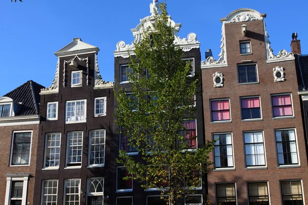 Hus arkitektur i amsterdam — Stockfoto