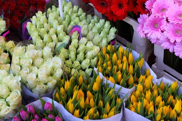 Forskellige blomster solgt på markedet i Amsterdam - Stock-foto