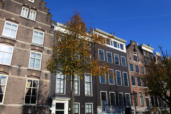 Hus arkitektur i amsterdam — Stockfoto