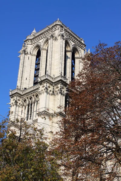 Notre dame-katedralen - paris — Stockfoto