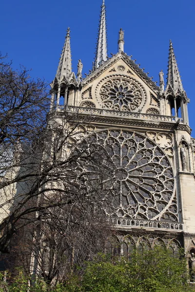 Notre dame-katedrális - Párizs — Stock Fotó