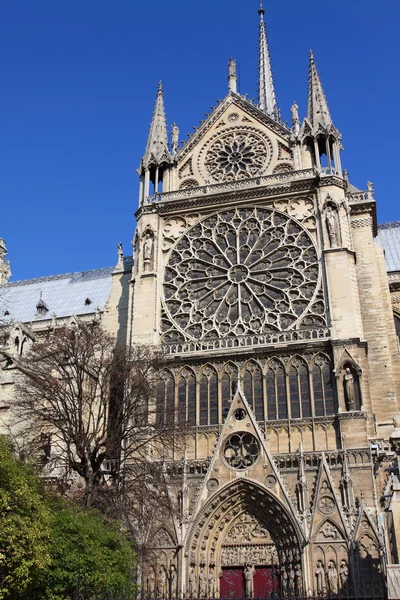 ノートルダム大聖堂 - パリ — ストック写真