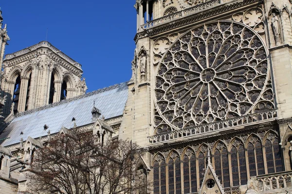Catedrala Notre Dame - Paris — Fotografie, imagine de stoc