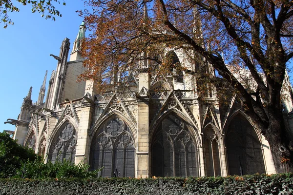 巴黎圣母院大教堂-巴黎 — 图库照片