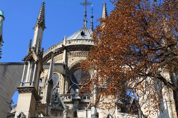 Cattedrale di Notre Dame - Parigi — Foto Stock