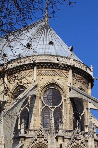 Notre dame cathedral - Parijs — Stockfoto
