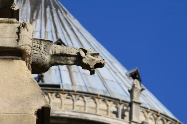 Catedral de Notre Dame - Paris — Fotografia de Stock