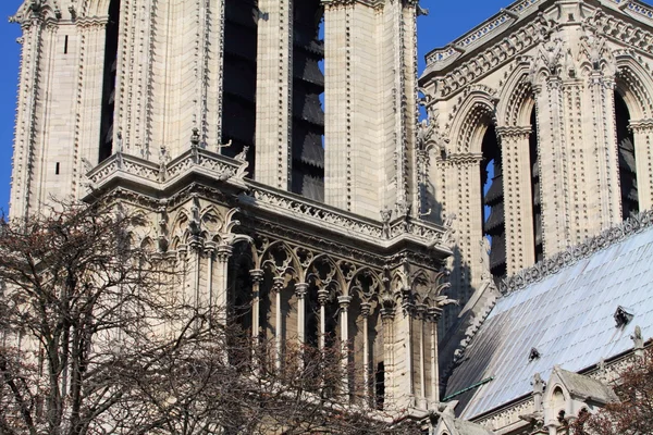 ノートルダム大聖堂 - パリ — ストック写真