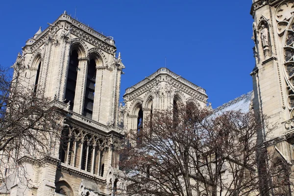 Katedrála Notre dame - Paříž — Stock fotografie