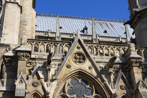 Notre dame Katedrali - paris