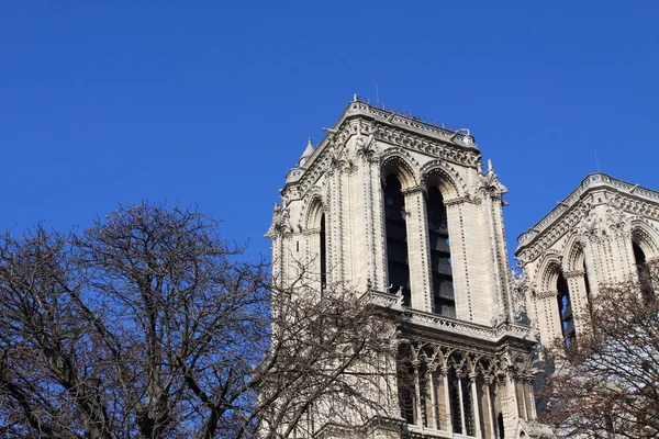 Notre dame cathedral - Parijs — Stockfoto