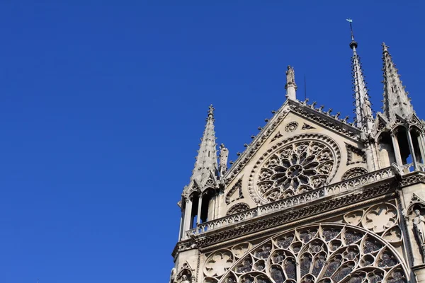 Cathédrale Notre Dame - Paris — Photo