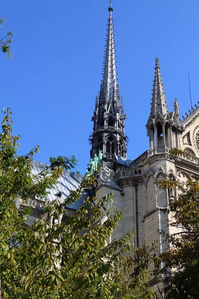 Catedral de Notre Dame - París — Foto de Stock