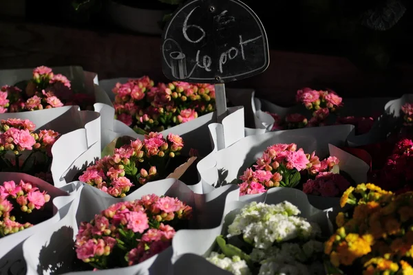 Odmiany kwiatów, sprzedawane na rynku w Paryżu — Zdjęcie stockowe