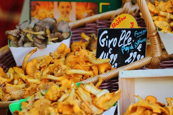 Bir sürü chanterelles Market — Stok fotoğraf