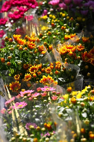 Erilaisia kukkia myydään markkinoilla Pariisissa — kuvapankkivalokuva